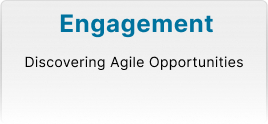 Agile Engagement