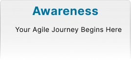 Agile Awareness